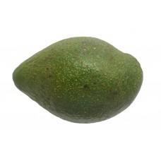 Avocado Ugandan Case