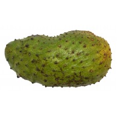 Soursop Case